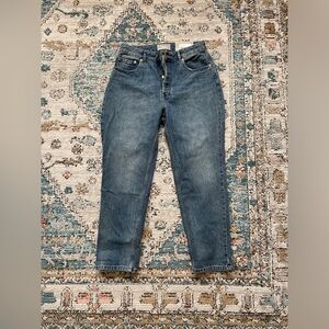 Everlane Curvy 90’s Cheeky Jean Vintage Mid Blue Size 30 NWT